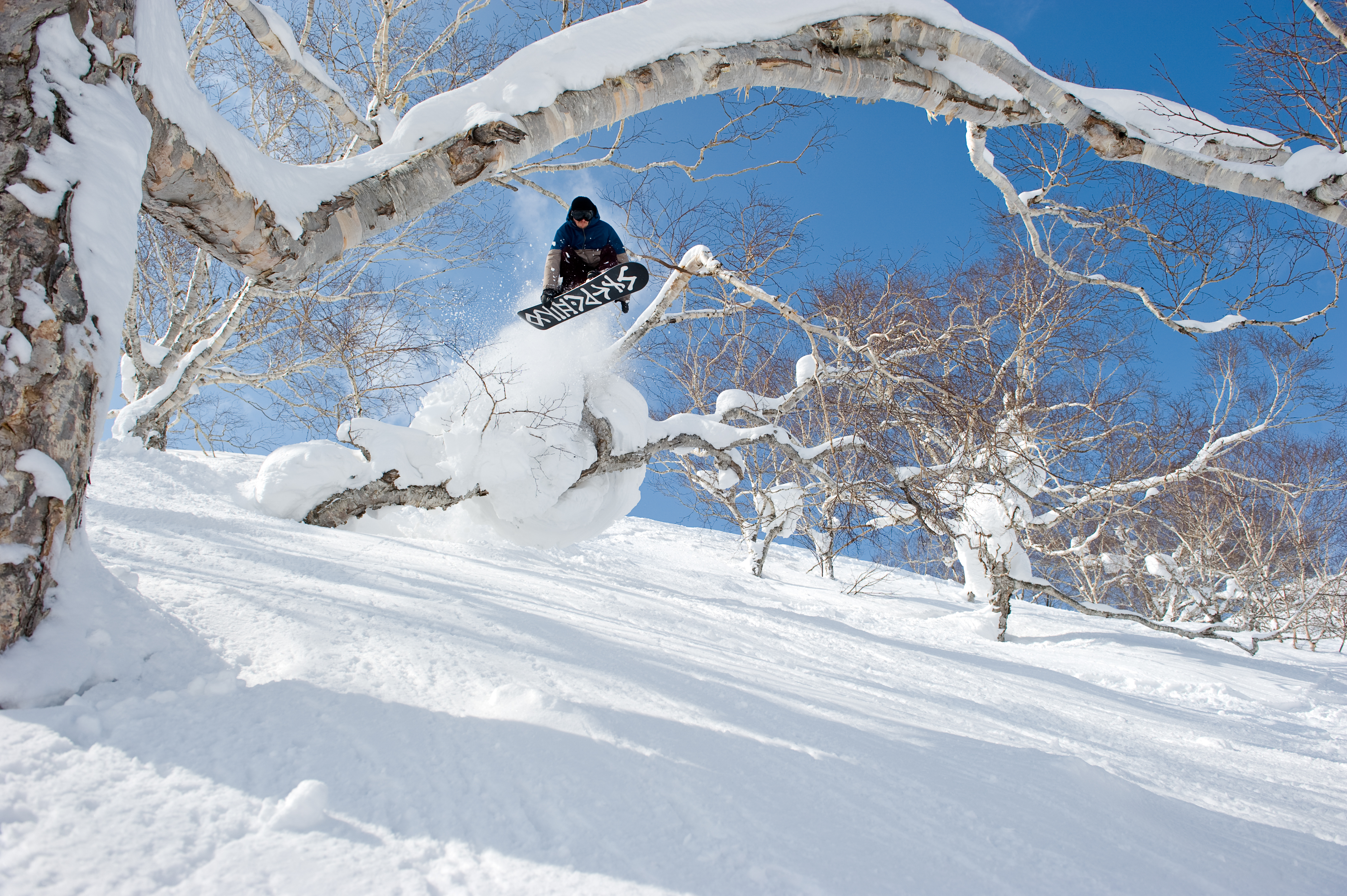 □□送料無料□ロシニョール□radical 6 rsx□162cm□調整ビン付